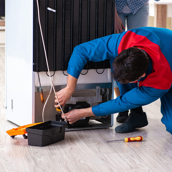 what are the common refrigerator repair services in Sunnyside